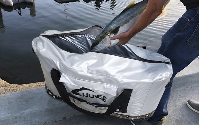 Analysis of the Fish Cooler Bag
